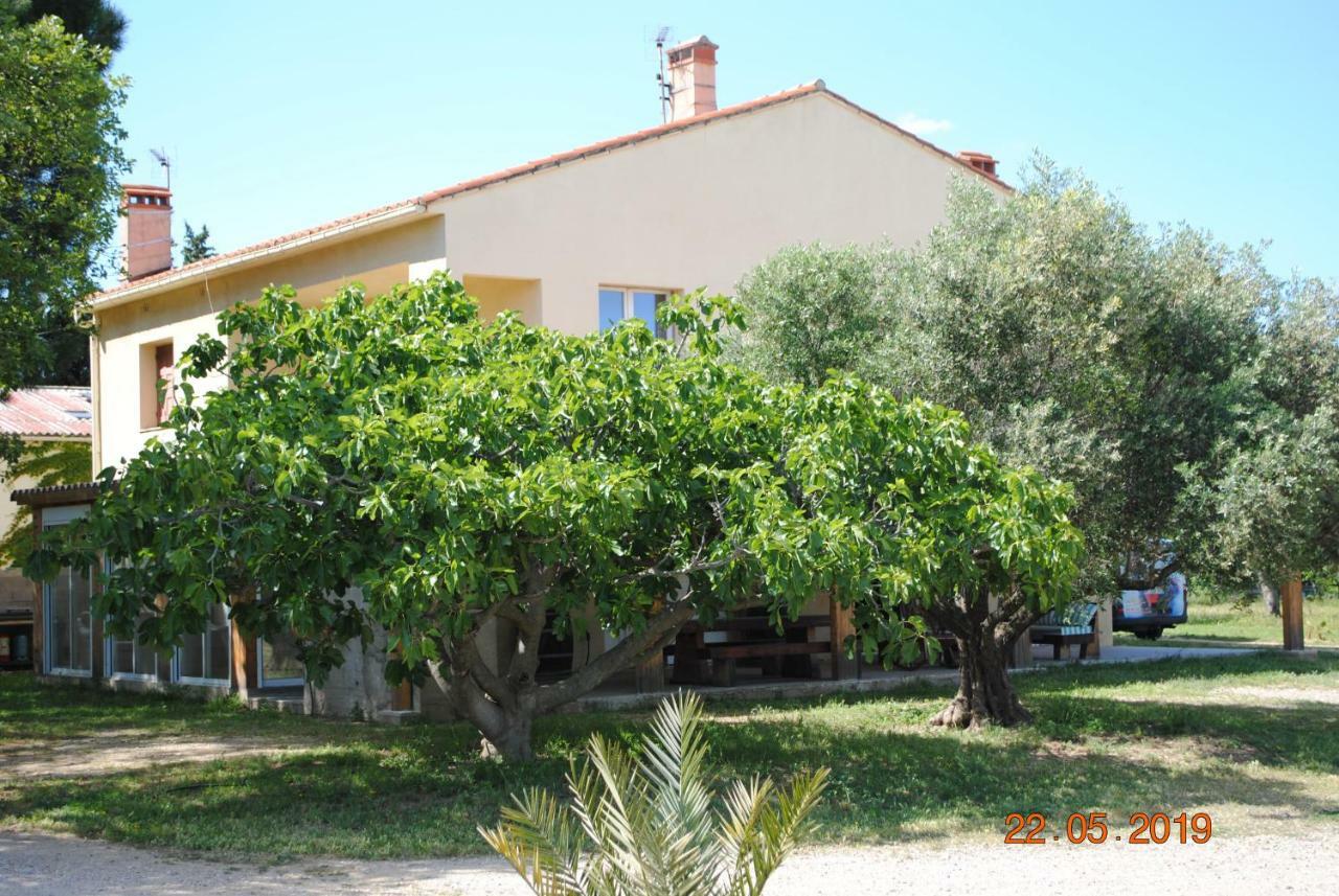 Mas De La Vignassa Vila Le Soler Exterior foto